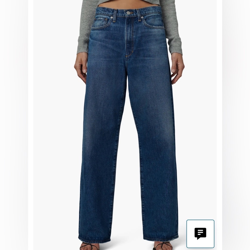 NWT Joe’s Jeans The Dani Michelle Ryan Low Slung Baggy Jeans